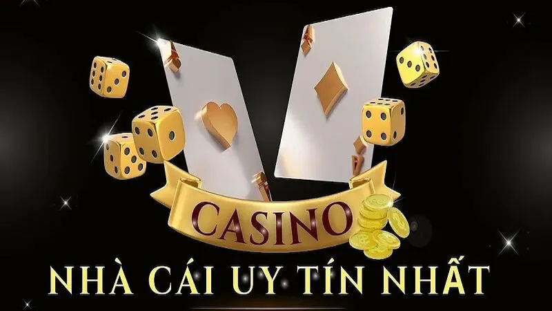 Một số thông tin thú vị về SanClub